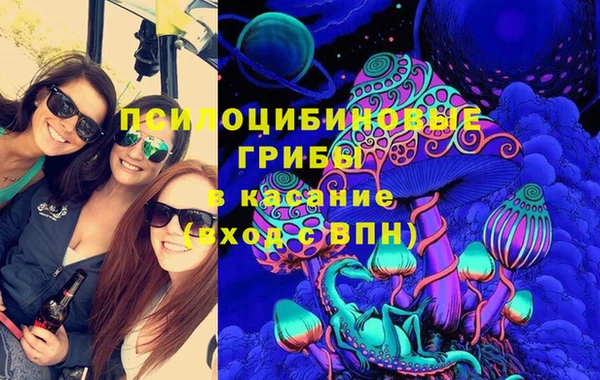 PSILOCYBIN Алзамай
