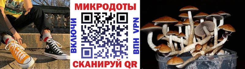 Галлюциногенные грибы Magic Shrooms  Цимлянск 